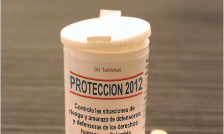 Informe anual SIADDHH 2012: Protección sin prevención: un efecto placebo