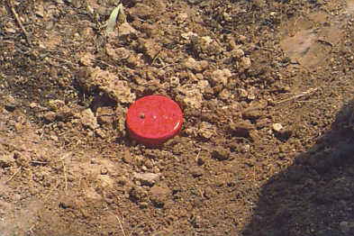 Otra víctima de minas antipersona