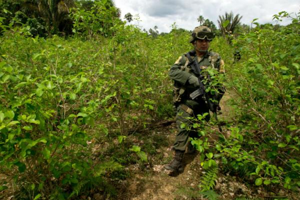 Primera entrega: La paz desde la selva del Putumayo  Puerto Asís, entre la coca y el consumismo