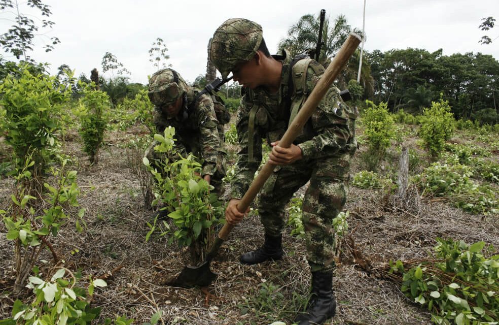 Comunidades de Puerto Asís piden al Gobierno diálogos por incumplimientos en sustitución de cultivos