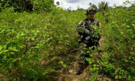Denuncia pública: Continuan las operaciones de erradicación forzosa en el Putumayo con agresiones en contra de las comunidades