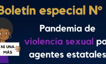 Boletín 8  CCEEU– Pandemia por violencia sexual y violencias basadas en género por agentes estatales