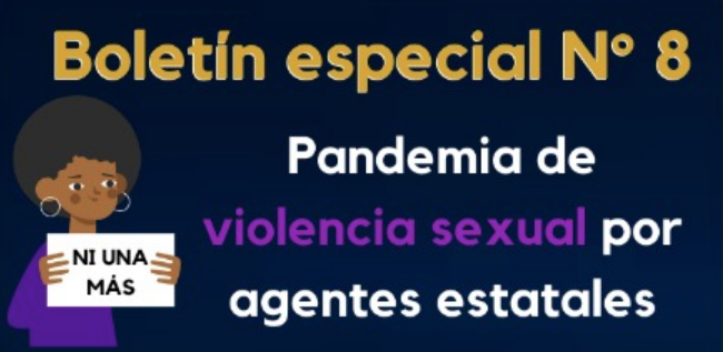 Boletín 8  CCEEU– Pandemia por violencia sexual y violencias basadas en género por agentes estatales