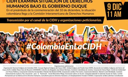 Organizaciones de la sociedad civil pedimos a la CIDH una visita oficial a Colombia