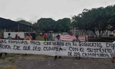 Comunicado público: Comunidades de Putumayo exigen frenar erradicaciones violentas y reactivar diálogo con campesinado