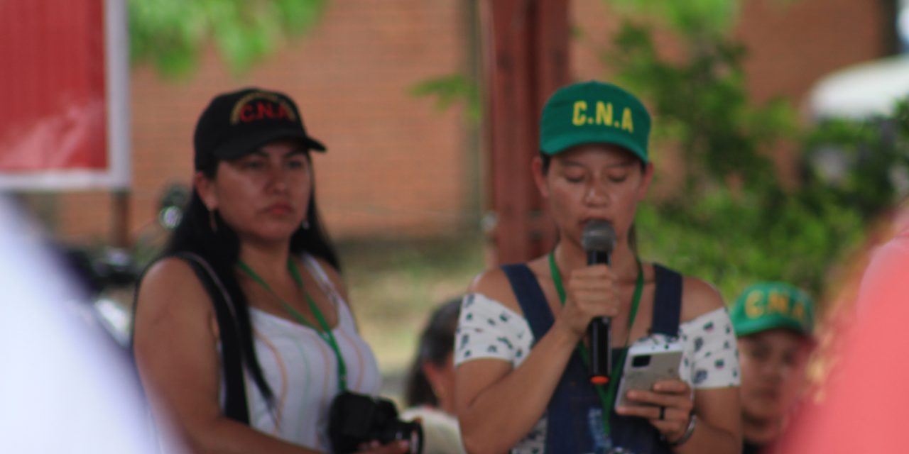 Mujeres: aportes y luchas por la visión ambiental como apuesta del campesinado colombiano