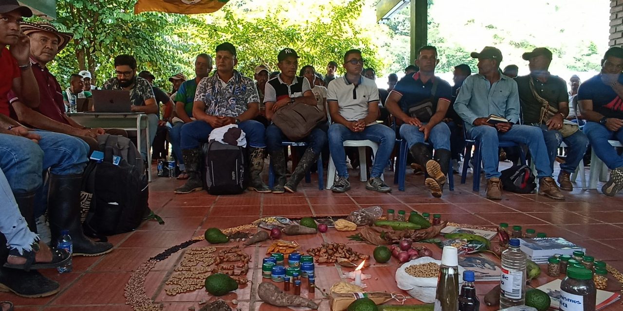 En el Catatumbo se construyen alternativas agroalimentarias a la problemática de los cultivos ilícitos