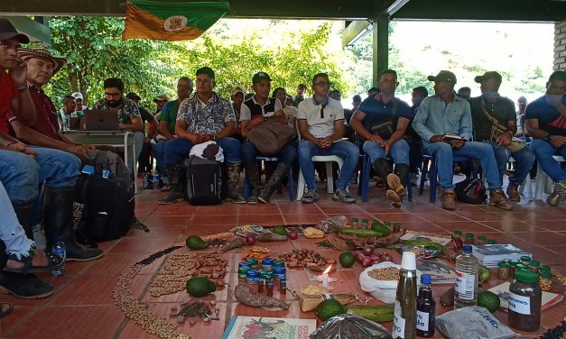 En el Catatumbo se construyen alternativas agroalimentarias a la problemática de los cultivos ilícitos