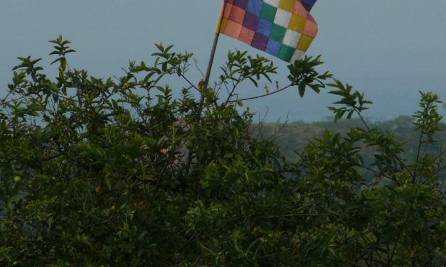 Llamamiento urgente por el Cauca ¡Paremos la masacre!