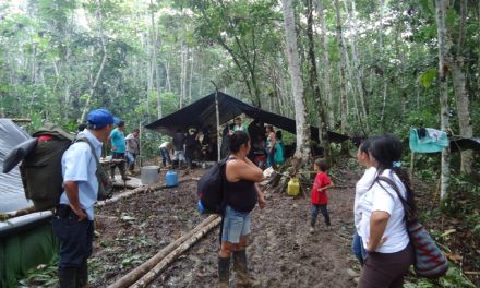 Editorial: Erradicación forzada y desplazamiento en el putumayo