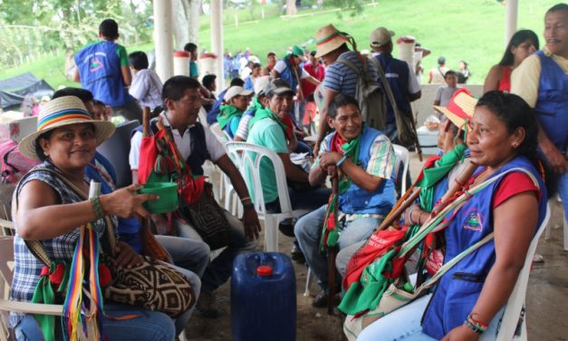 S.O.S MUJERES DEL NORTE DEL CAUCA