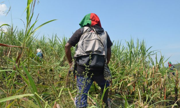 Minga por la liberación de la madre tierra y celebración de los 45 años del CRIC