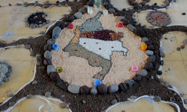 Declaración política de la V Asamblea Nacional CNA