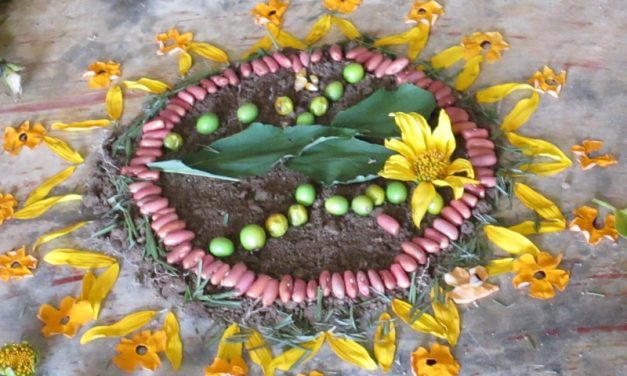 EL FIN DEL CONFLICTO FARC-GOBIERNO AFIRMA LOS PASOS HACIA LA PAZ