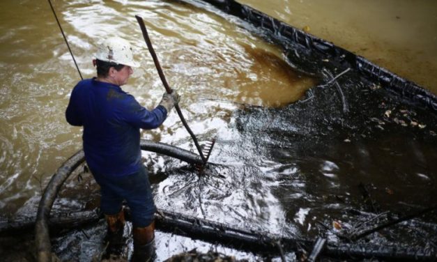 Lizama: La negligencia convertida en tragedia ambiental