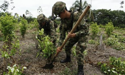 Ejército realiza operaciones de erradicación forzada en Putumayo profundizando crisis por Covid 19