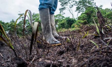 Putumayo Somos Amazonía: Villagarzón contra la extracción petrolera