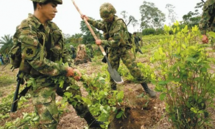 ONG denuncia la muerte de dos campesinos tras operativos de erradicación forzada en Putumayo