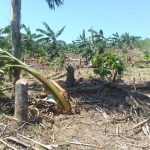 Operaciones militares de antinarcóticos afectan soberanía alimentaria del pueblo Nasa en Putumayo